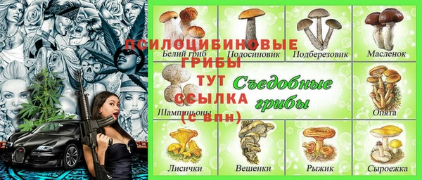 прущая мука Вяземский