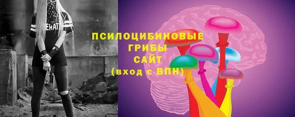 прущая мука Вяземский