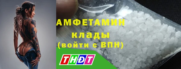 прущая мука Вяземский